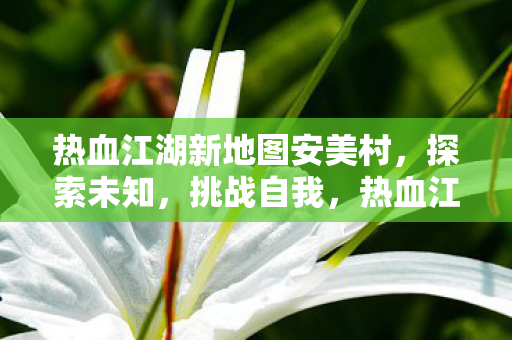热血江湖新地图安美村图片
