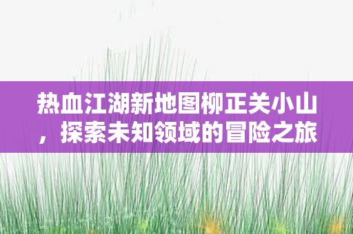 热血江湖新地图柳正关小山图片