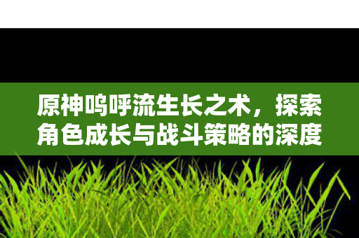 原神呜呼流生长之术，探索角色成长与战斗策略的深度解析，原神，探索角色成长与战斗策略的深度解析