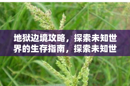 地狱边境攻略，探索未知世界的生存指南，探索未知世界的生存指南，地狱边境攻略