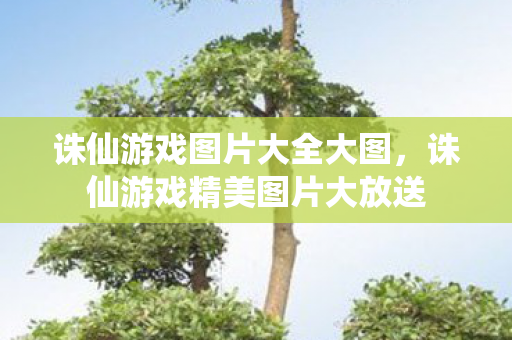 诛仙游戏精美图片大放送图片
