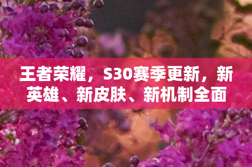 王者荣耀，S30赛季更新，新英雄、新皮肤、新机制全面解析，S30赛季更新，王者荣耀新英雄、新皮肤、新机制全面解析