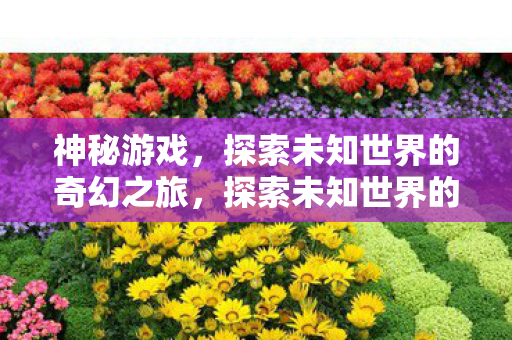 神秘游戏,探索未知世界的奇幻之旅,探索未知世界的奇幻之旅,神秘游戏 神秘游戏,探索未知世界的奇幻之旅,探索未知世界的奇幻之旅,神秘游戏