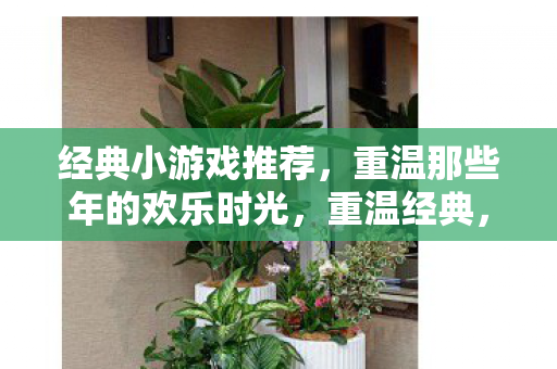 经典小游戏推荐,重温那些年的欢乐时光,重温经典,那些年我们玩过的小游戏 经典小游戏推荐,重温那些年的欢乐时光,重温经典,那些年我们玩过的小游戏