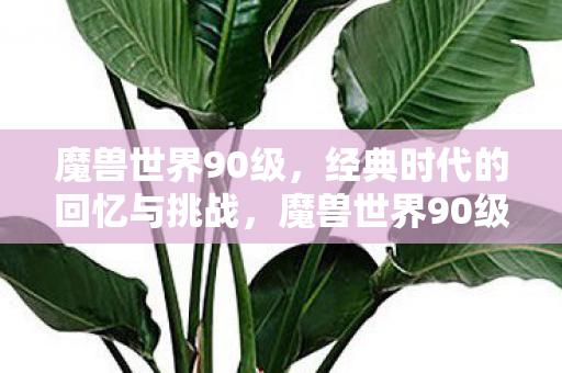 魔兽世界90级,经典时代的回忆与挑战,魔兽世界90级,经典时代的回忆与挑战 魔兽世界90级,经典时代的回忆与挑战,魔兽世界90级,经典时代的回忆与挑战