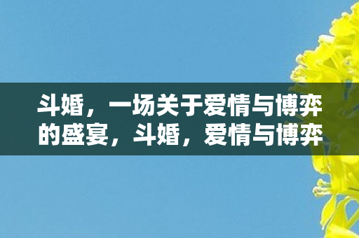 斗婚，一场关于爱情与博弈的盛宴，斗婚，爱情与博弈的盛宴