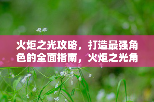 火炬之光攻略，打造最强角色的全面指南，火炬之光角色打造全攻略，助你成为最强玩家