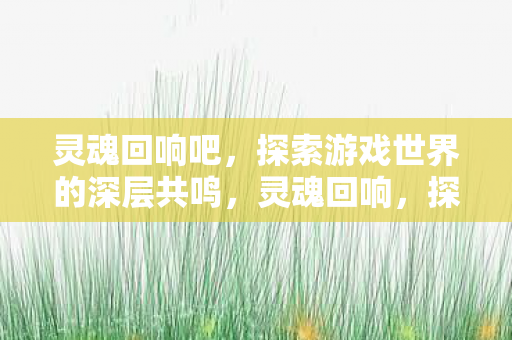 灵魂回响吧，探索游戏世界的深层共鸣，灵魂回响，探索游戏世界的深层共鸣