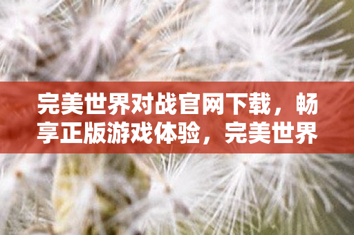 完美世界对战官网下载，畅享正版游戏体验，完美世界对战官网下载，开启正版游戏之旅