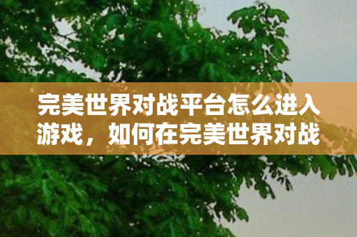 如何在完美世界对战平台中开始游戏图片