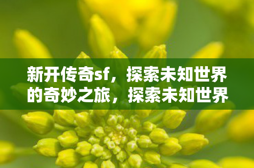 新开传奇sf,探索未知世界的奇妙之旅,探索未知世界的奇妙之旅,新开传奇sf等你来战 新开传奇sf,探索未知世界的奇妙之旅,探索未知世界的奇妙之旅,新开传奇sf等你来战