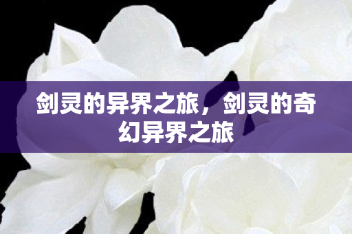 剑灵的奇幻异界之旅图片