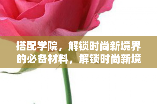 搭配学院，解锁时尚新境界的必备材料，解锁时尚新境界，学院风必备材料