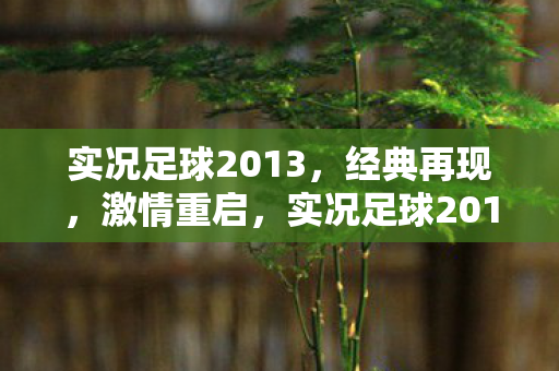 实况足球2013,经典再现,激情重启,实况足球2013激情重启 实况足球2013,经典再现,激情重启,实况足球2013激情重启