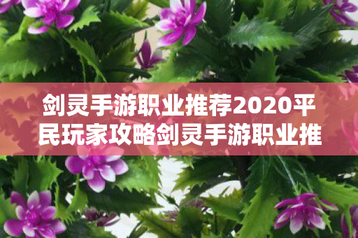 剑灵手游职业推荐2020平民玩家攻略剑灵手游职业推荐2020平民玩家，2020剑灵手游平民玩家职业选择指南