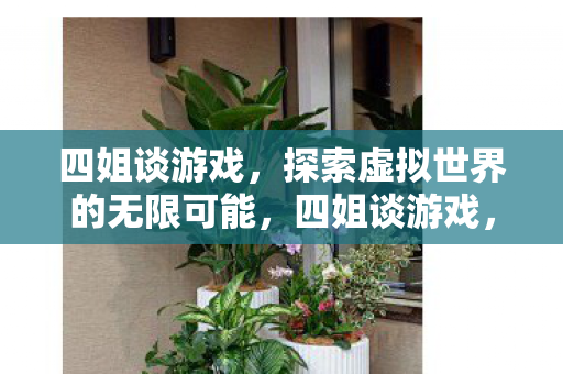 四姐谈游戏，探索虚拟世界的无限可能，四姐谈游戏，探索虚拟世界的无限可能