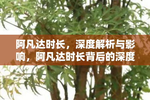 阿凡达时长，深度解析与影响，阿凡达时长背后的深度解析与影响