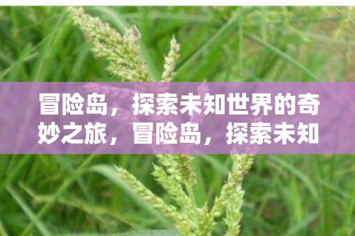 探索未知世界的奇妙之旅图片