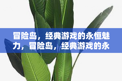 经典游戏的永恒魅力图片