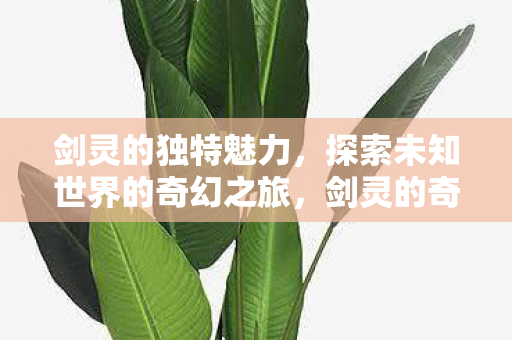 探索未知世界的奇幻之旅图片