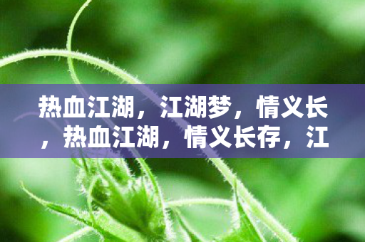 江湖梦未醒图片