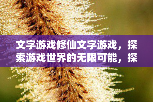 文字游戏修仙文字游戏，探索游戏世界的无限可能，探索修仙文字游戏的无限可能