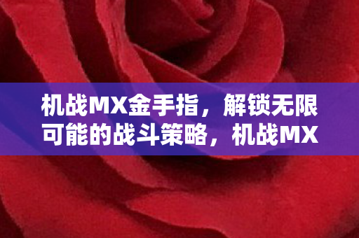 机战MX金手指，解锁无限可能的战斗策略，机战MX金手指，解锁无限战斗策略