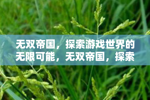 无双帝国,探索游戏世界的无限可能,无双帝国,探索游戏世界的无限可能 无双帝国,探索游戏世界的无限可能,无双帝国,探索游戏世界的无限可能