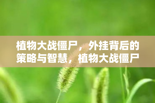 植物大战僵尸,外挂背后的策略与智慧,植物大战僵尸外挂背后的策略与智慧,游戏背后的智慧较量 植物大战僵尸,外挂背后的策略与智慧,植物大战僵尸外挂背后的策略与智慧,游戏背后的智慧较量