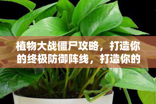 打造你的终极防御阵线图片