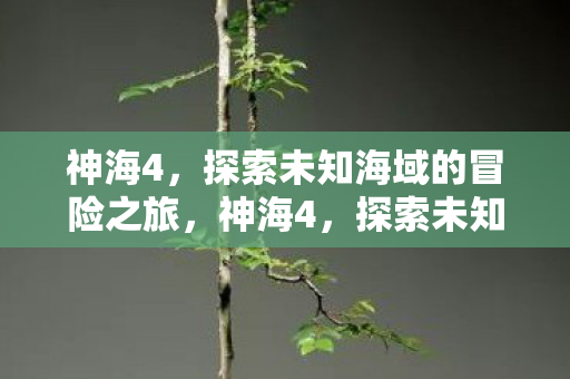 神海4，探索未知海域的冒险之旅，神海4，探索未知海域的惊险之旅