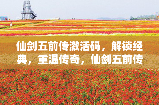 仙剑五前传激活码，解锁经典，重温传奇，仙剑五前传激活码，解锁经典，重温传奇