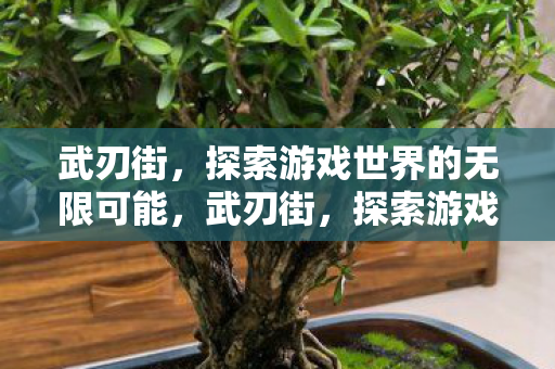武刃街，探索游戏世界的无限可能，武刃街，探索游戏世界的无限可能