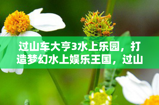 过山车大亨3水上乐园，打造梦幻水上娱乐王国，过山车大亨3水上乐园，打造梦幻水上娱乐王国