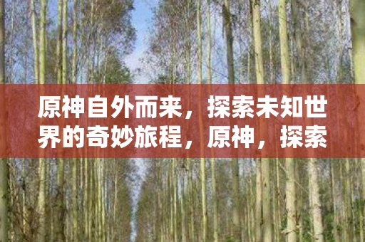 原神自外而来，探索未知世界的奇妙旅程，原神，探索未知世界的奇妙旅程