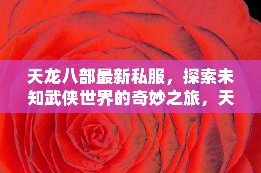 探索未知武侠世界的奇妙之旅图片