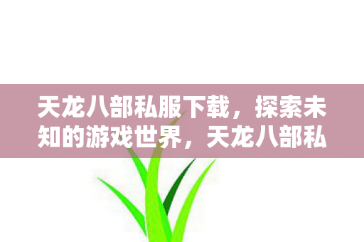 天龙八部私服下载，探索未知的游戏世界，天龙八部私服下载，探索未知的游戏世界