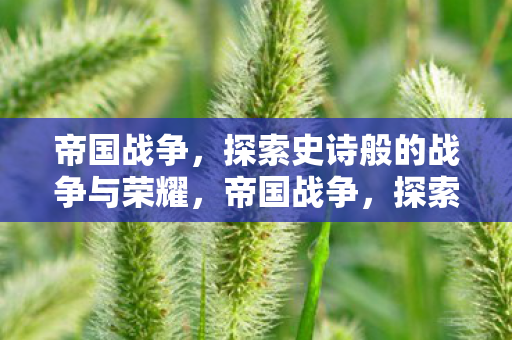 帝国战争，探索史诗般的战争与荣耀，帝国战争，探索史诗般的战争与荣耀