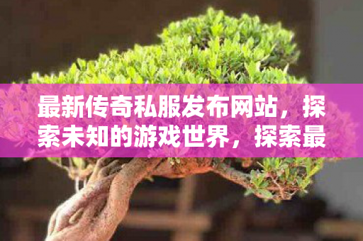 最新传奇私服发布网站,探索未知的游戏世界,探索最新传奇私服发布网站,开启你的游戏冒险之旅 最新传奇私服发布网站,探索未知的游戏世界,探索最新传奇私服发布网站,开启你的游戏冒险之旅