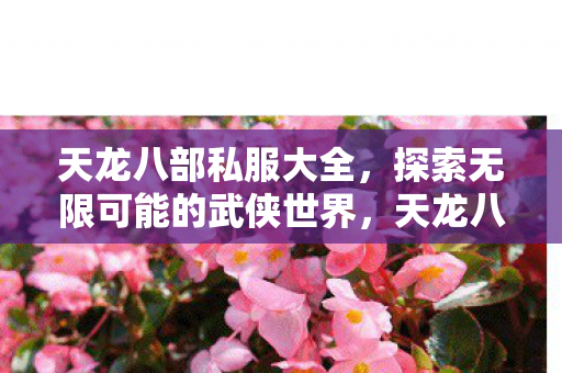 天龙八部私服大全,探索无限可能的武侠世界,天龙八部私服世界,探索无限武侠可能 天龙八部私服大全,探索无限可能的武侠世界,天龙八部私服世界,探索无限武侠可能