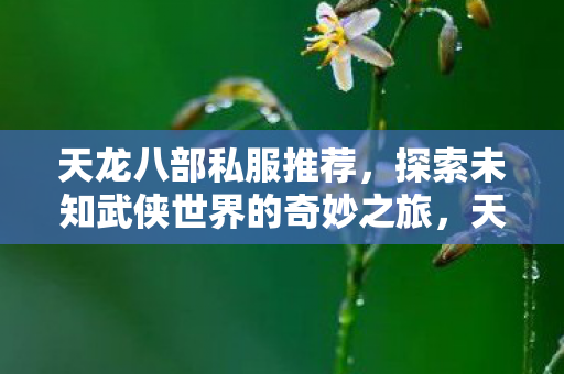 天龙八部私服推荐,探索未知武侠世界的奇妙之旅,天龙八部私服推荐,开启你的武侠冒险之旅 天龙八部私服推荐,探索未知武侠世界的奇妙之旅,天龙八部私服推荐,开启你的武侠冒险之旅