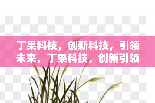 丁果科技，创新科技，引领未来，丁果科技，创新引领未来