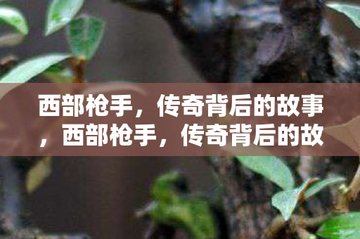 西部枪手，传奇背后的故事，西部枪手，传奇背后的故事揭秘