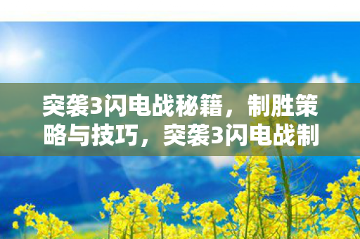突袭3闪电战秘籍，制胜策略与技巧，突袭3闪电战制胜秘籍，策略与技巧全解析