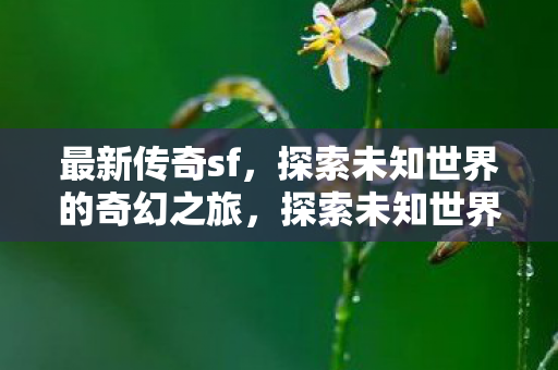 最新传奇sf,探索未知世界的奇幻之旅,探索未知世界的奇幻之旅,最新传奇sf 最新传奇sf,探索未知世界的奇幻之旅,探索未知世界的奇幻之旅,最新传奇sf