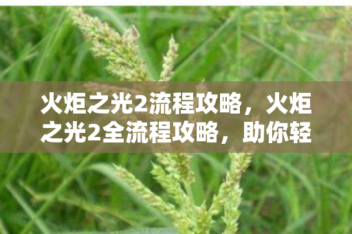 火炬之光2流程攻略，火炬之光2全流程攻略，助你轻松通关