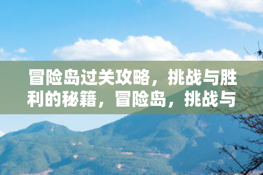 挑战与胜利的通关秘籍图片