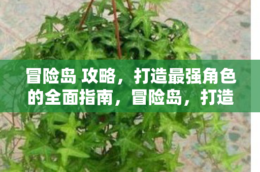 打造最强角色的全面指南图片