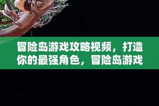 冒险岛游戏攻略视频图片
