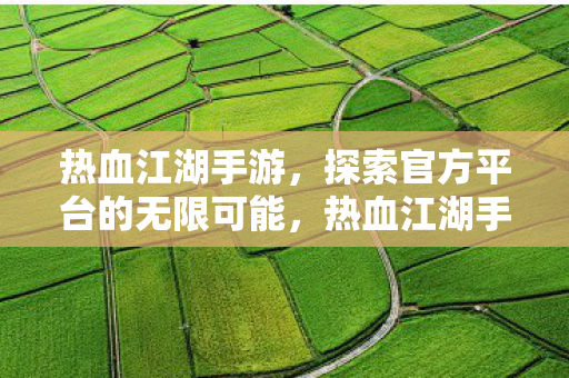 探索官方平台的无限可能图片